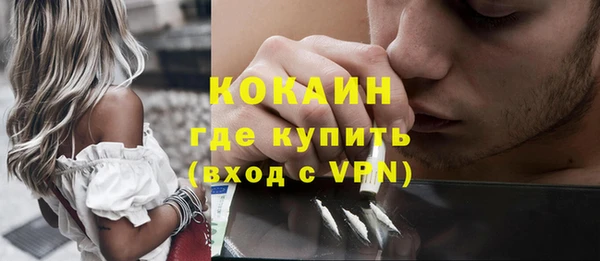 ГАЛЛЮЦИНОГЕННЫЕ ГРИБЫ Аркадак