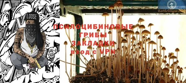 ГАЛЛЮЦИНОГЕННЫЕ ГРИБЫ Аркадак