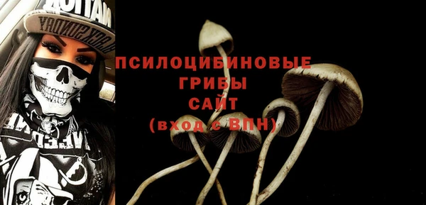 ГАЛЛЮЦИНОГЕННЫЕ ГРИБЫ Аркадак