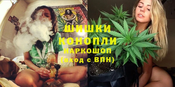 ГАЛЛЮЦИНОГЕННЫЕ ГРИБЫ Аркадак