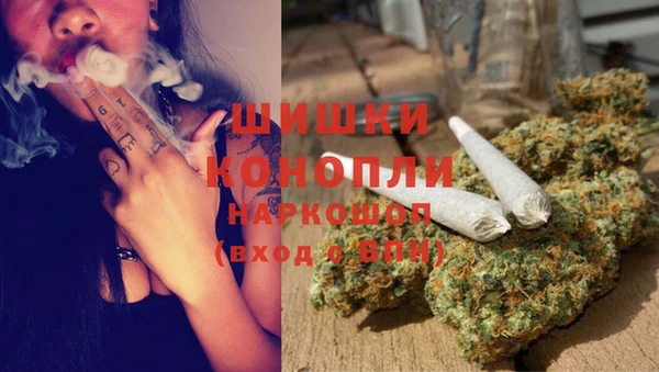 ешки Арсеньев