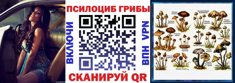 Псилоцибиновые грибы Magic Shrooms  как найти   Асбест 
